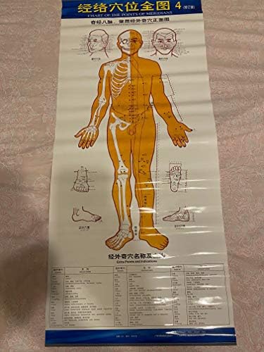 6 Постер Кинеска Медицина Тело Акупунктура Поени Меридијани